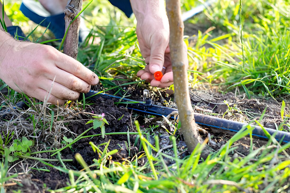 Irrigation System Design & Installation