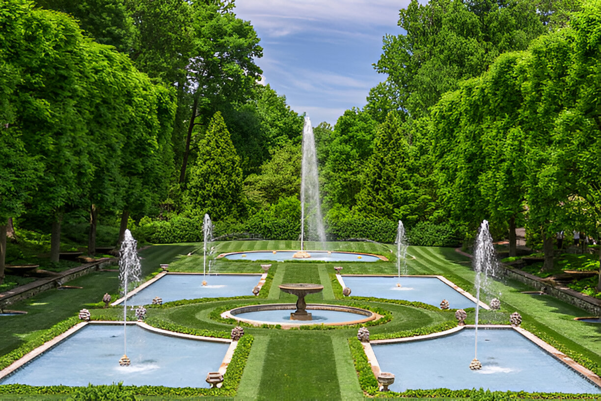 Ponds & Water Gardens